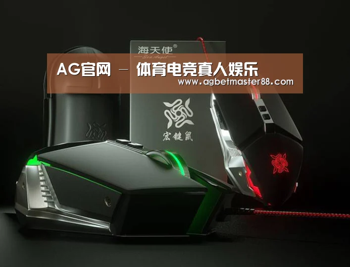 鼠标封面设计