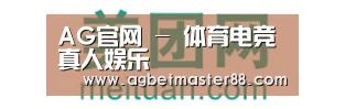 美团网