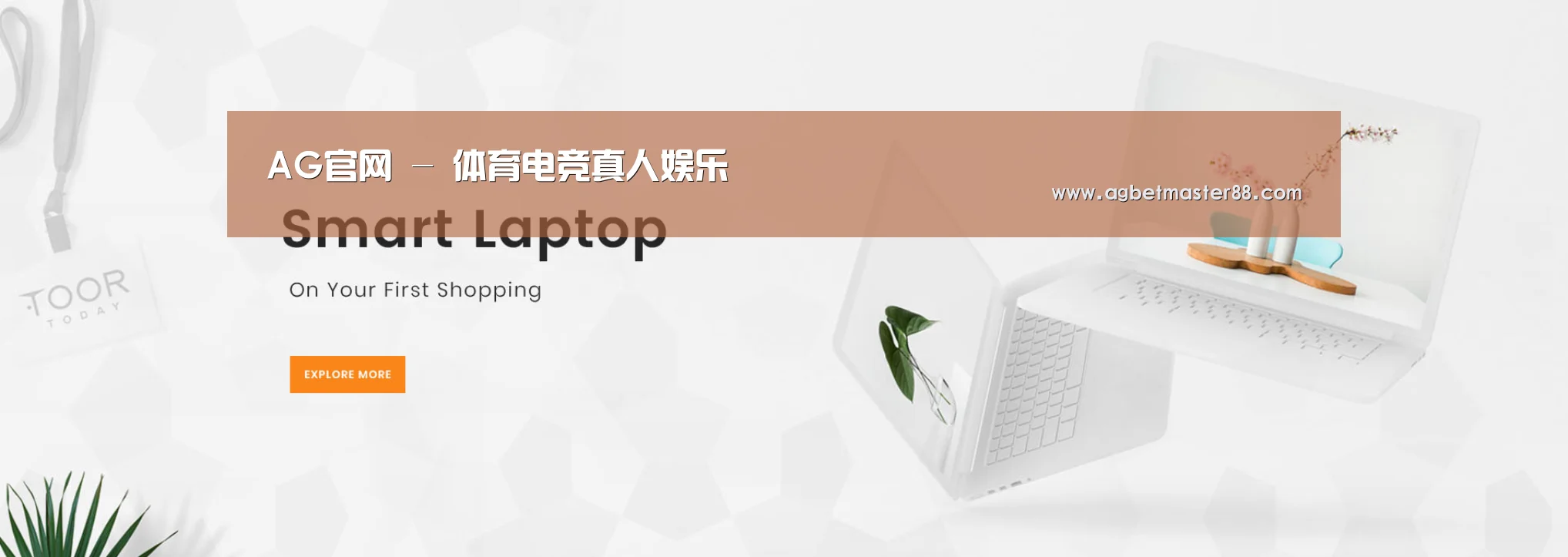 某某网络科技有限公司