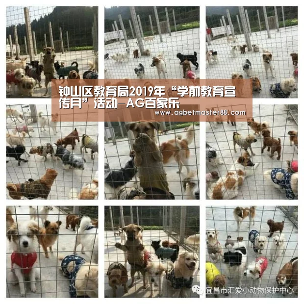 钟山区教育局2019年“学前教育宣传月”活动-AG百家乐(图1) AG棋牌