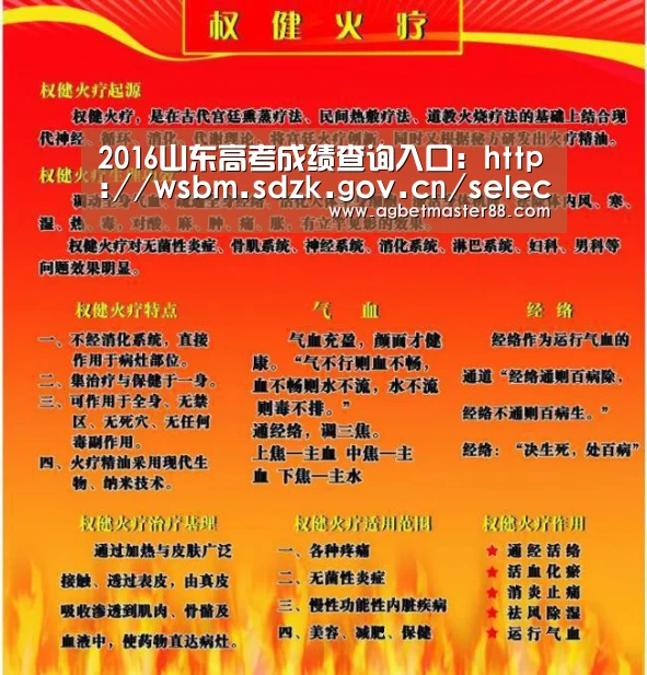2016山东高考成绩查询入口:http://wsbm.sdzk.gov.cn/select.jsp【AG篮球】(图1) AG篮球